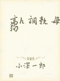 高h 调教 母狗