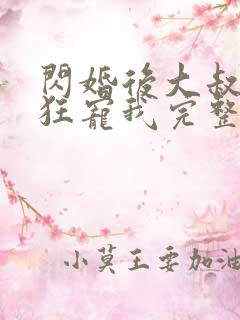 闪婚后大叔每天狂宠我完整版