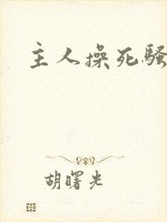 主人操死骚母狗