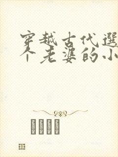 穿越古代选了三个老婆的小说