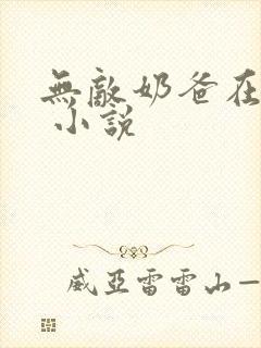 无敌奶爸在都市 小说