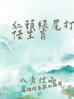 红头绿尾打一最佳生肖