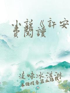 小说《许安》免费阅读