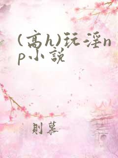 (高h)玩淫np小说