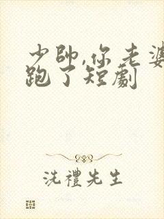 少帅,你老婆又跑了短剧