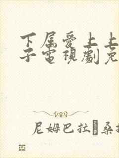 下属爱上上司妻子电视剧免费观看