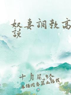 奴妻调教高h小说