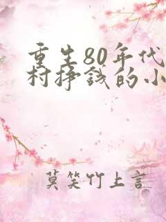 重生80年代农村挣钱的小说