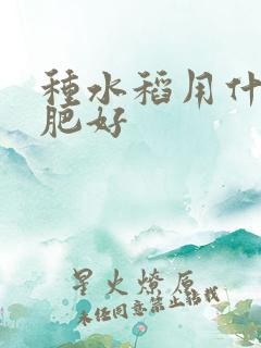 种水稻用什么底肥好