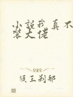 小说我真不是女装大佬