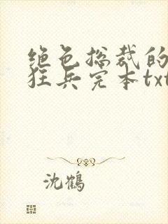 绝色总裁的极品狂兵完本txt下载