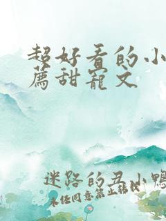 超好看的小说推荐甜宠文