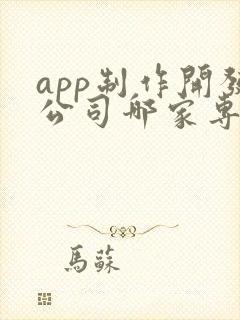 app制作开发公司哪家专业