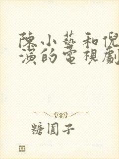陈小艺和倪大红演的电视剧叫什么名字
