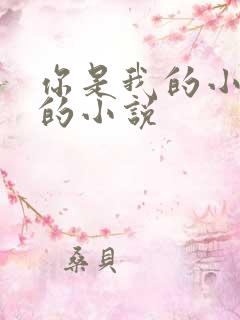 你是我的小确幸的小说
