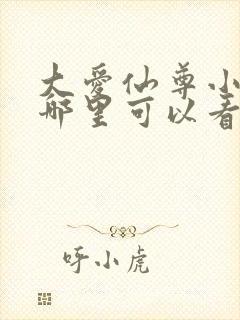 大爱仙尊小说在哪里可以看