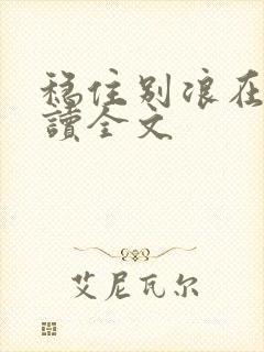 稳住别浪在线阅读全文