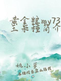 黄金粮my73玉米种简介