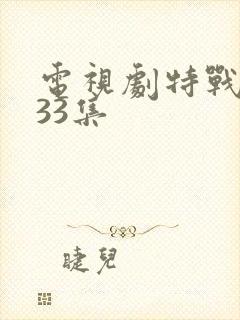 电视剧特战荣耀33集