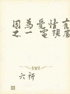 因为爱情有幸福之一 电视剧
