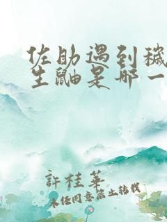 佐助遇到秽土转生鼬是哪一集