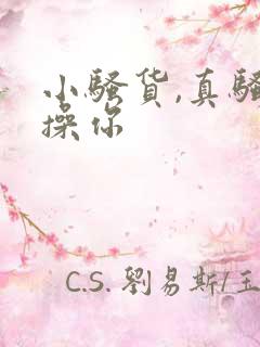 小骚货,真骚,操你