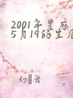 2001年农历5月19的生辰八字