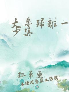 大梦归离一共多少集