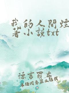 我的人间烟火原著小说txt