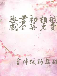 与君初相识电视剧全集免费播放