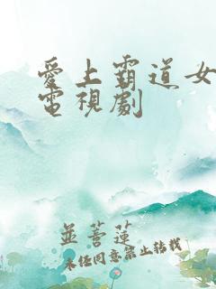 爱上霸道女总裁电视剧