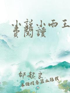 小说小雨王叔免费阅读