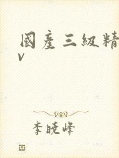 国产三级精品av