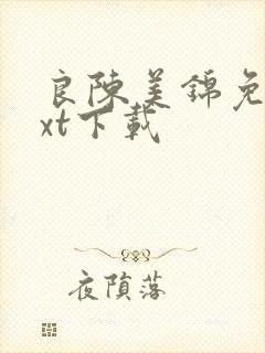 良陈美锦免费txt下载
