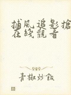 捕风追影抢先版在线观看