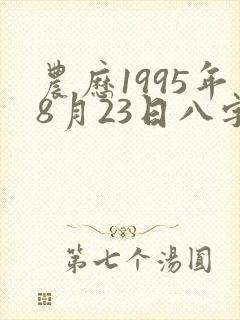 农历1995年8月23日八字算命