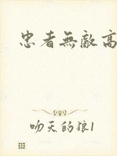 忠者无敌高清