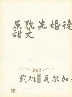 原耽先婚后爱小甜文