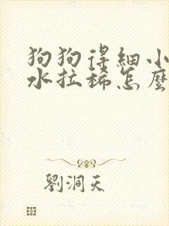 狗狗得细小吐黄水拉稀怎么回事