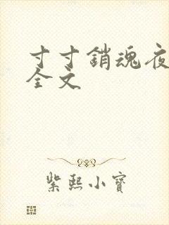 寸寸销魂夜春光全文