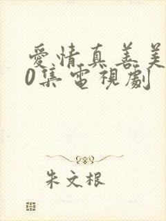 爱情真善美全40集电视剧