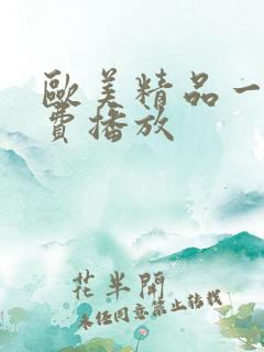 欧美精品一级免费播放
