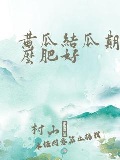 黄瓜结瓜期追什么肥好