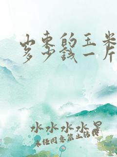 山东的玉米现在多少钱一斤