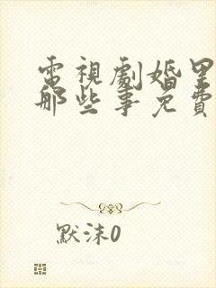 电视剧婚里婚外那些事免费观看