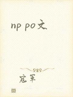 np po文