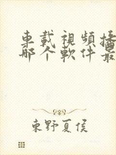 车载视频播放器哪个软件最好用