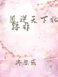 凤逆天下北月篇 路非