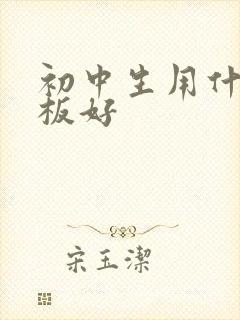 初中生用什么平板好