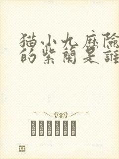 猫小九历险记中的紫兰是谁